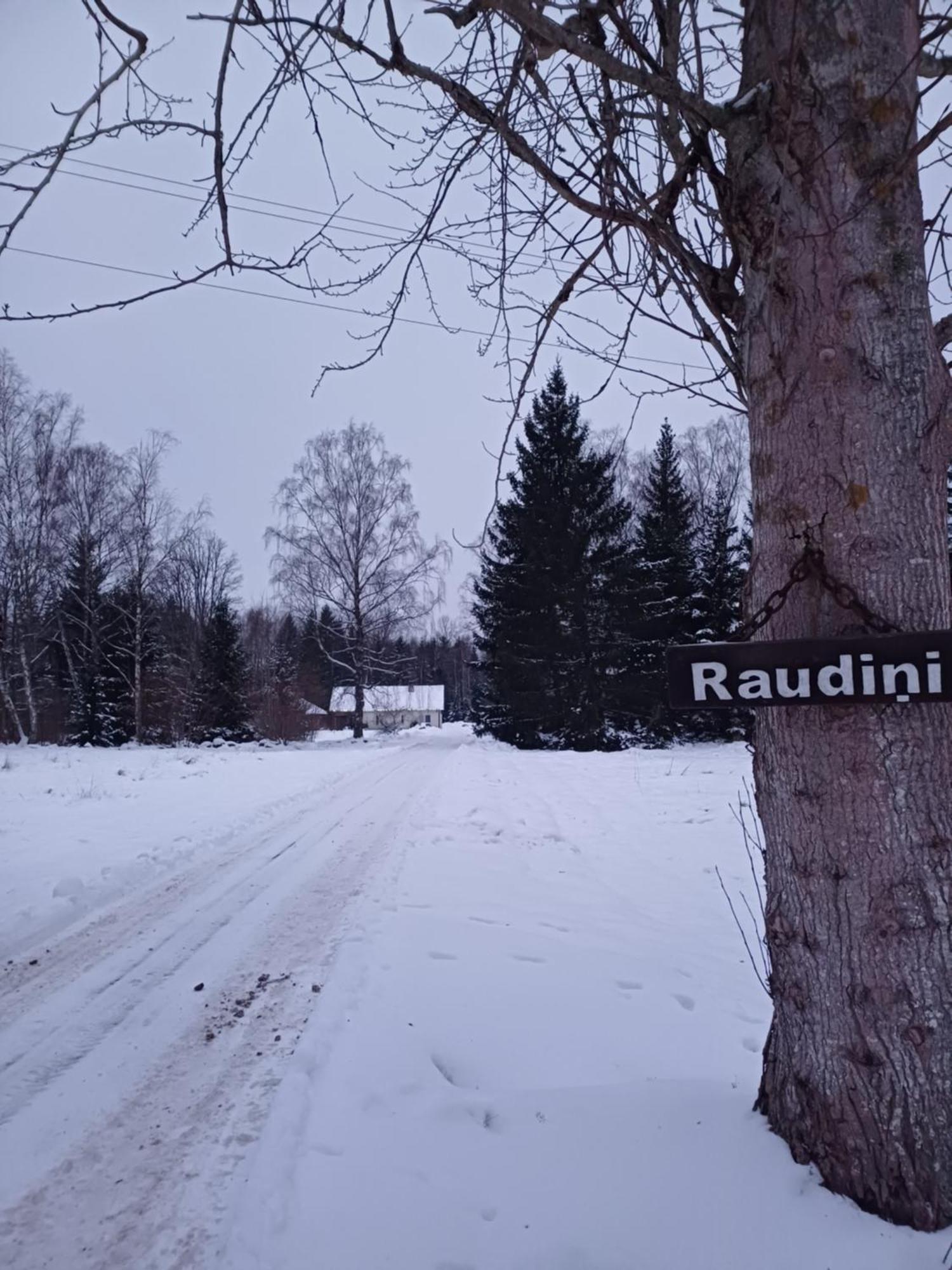 Brivdienu Maja "Raudini" Kaltene المظهر الخارجي الصورة